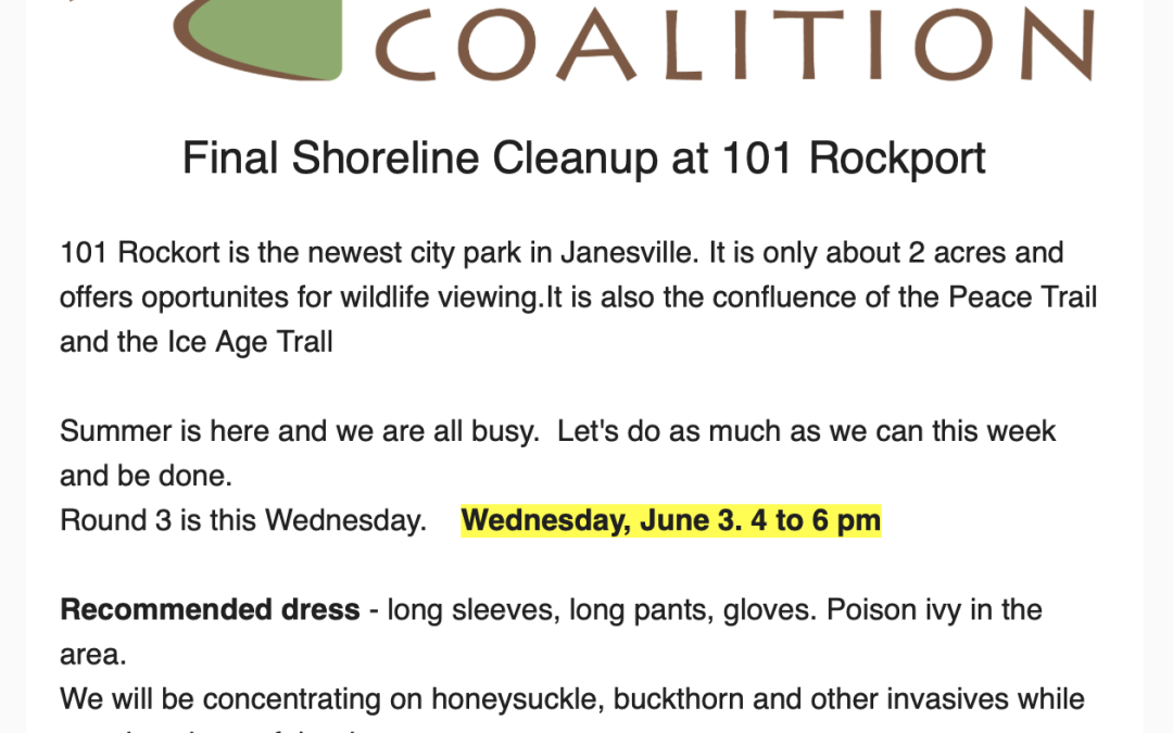 The newest city park in Janesville needs some TLC!